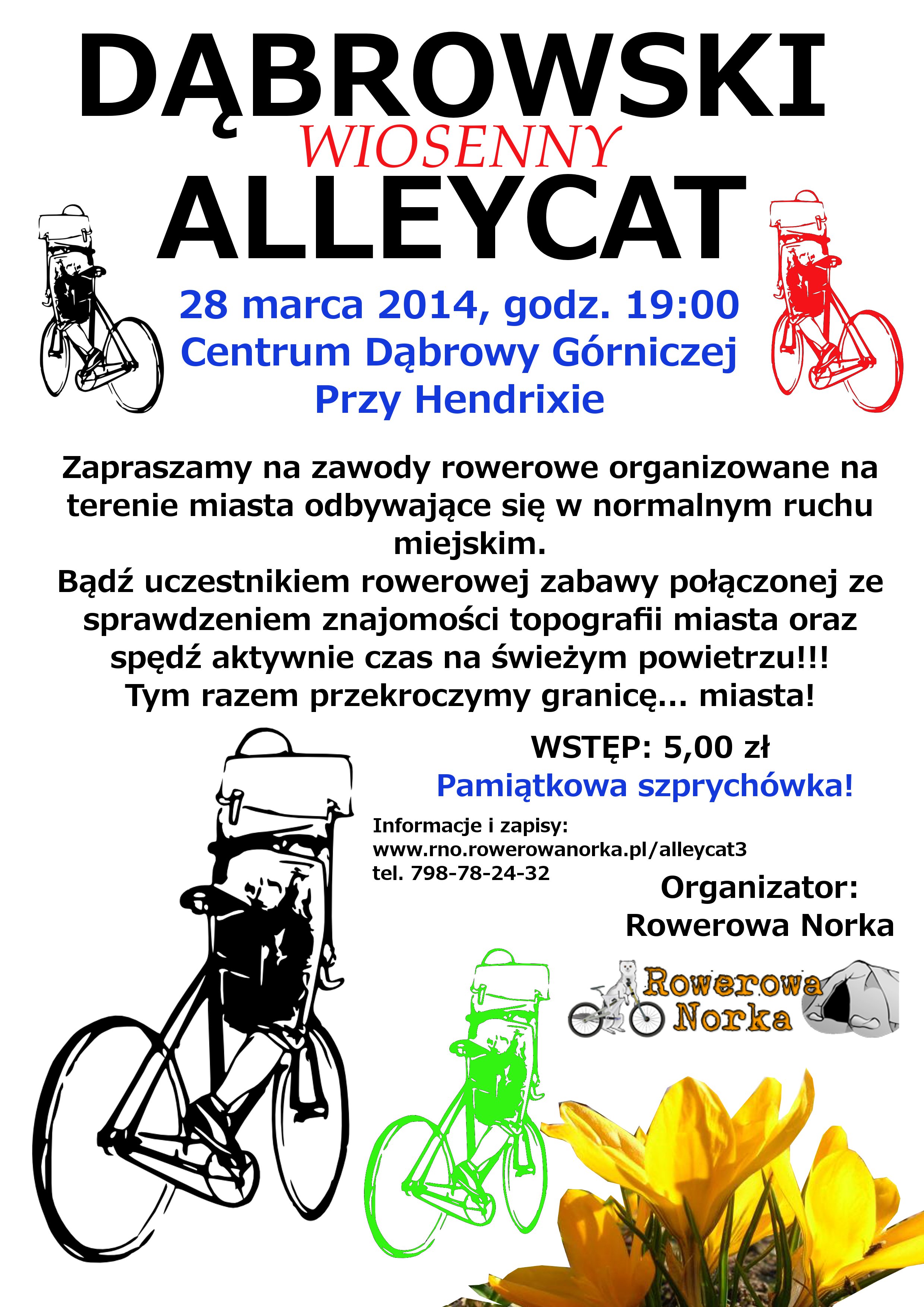 Alleycat3