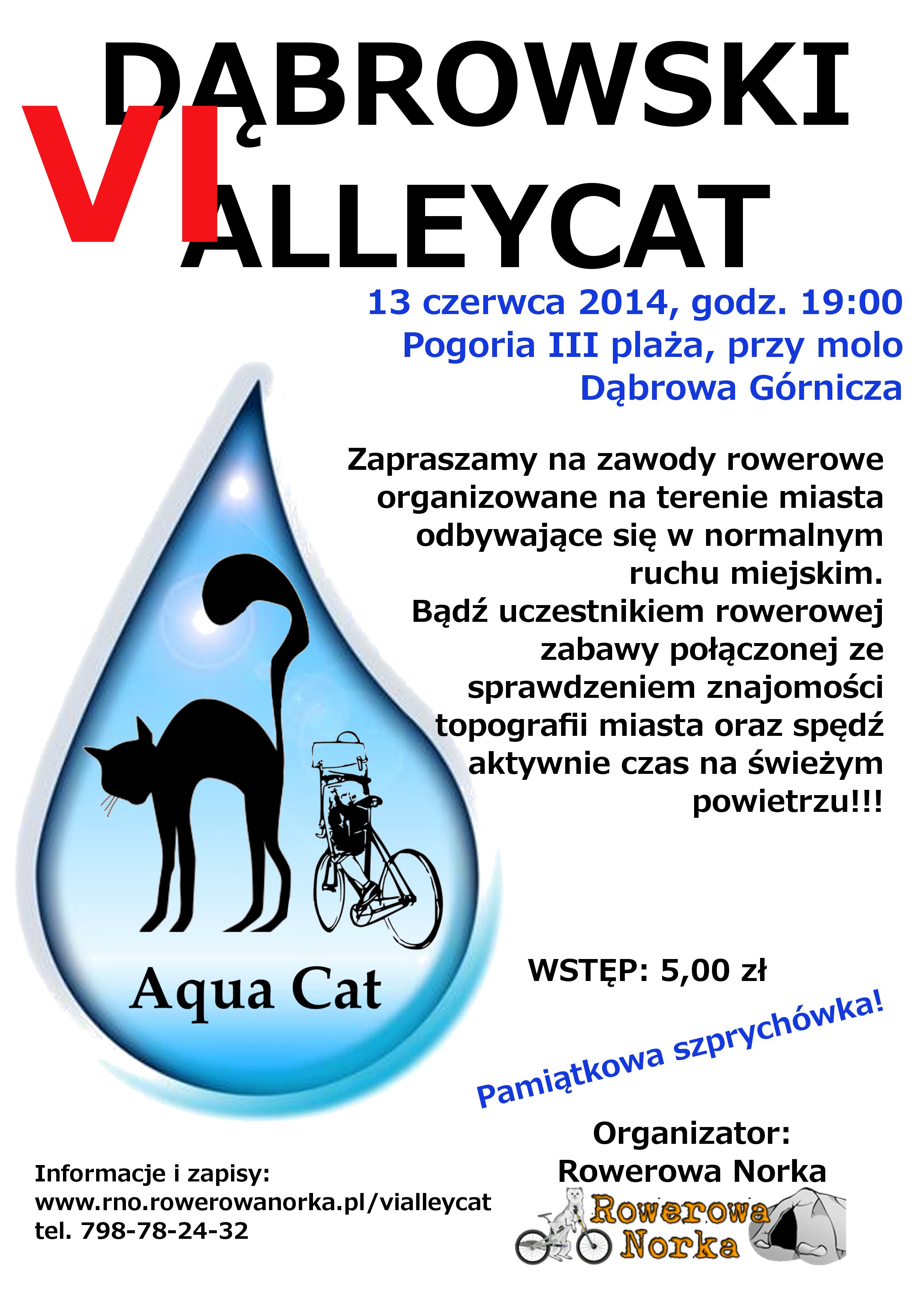 Alleycat6